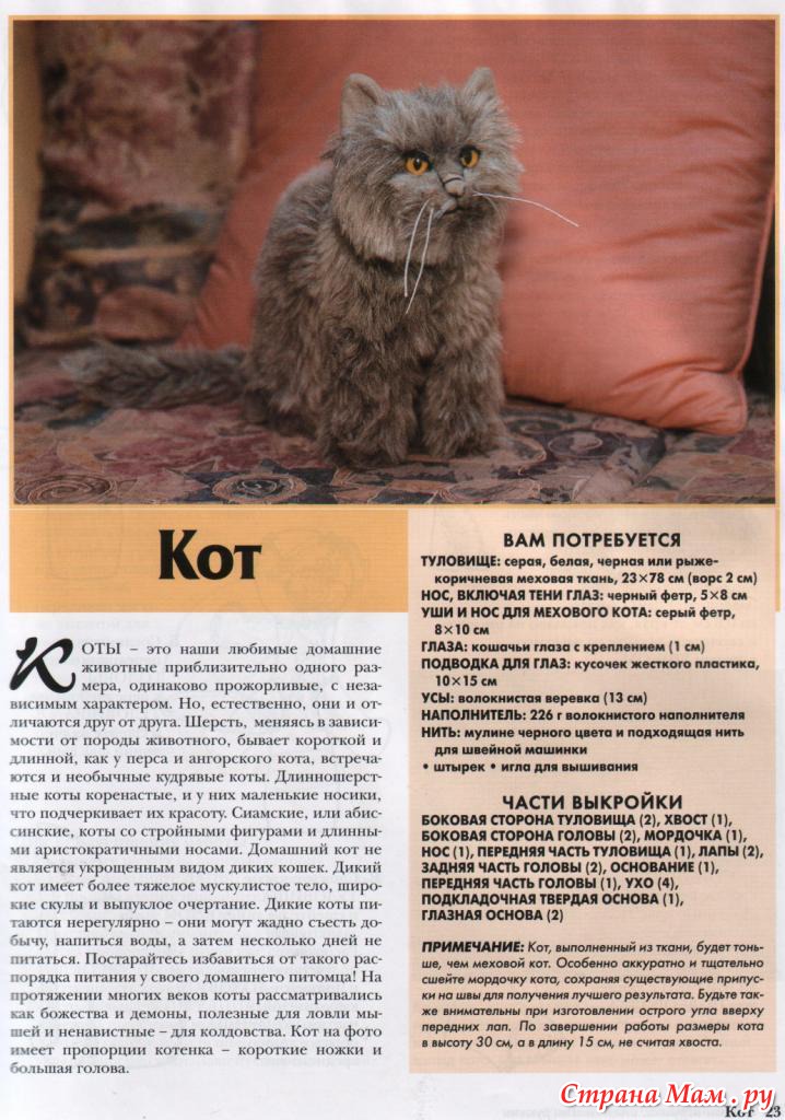 Как превратить чай в оригинальный подарок-сюрприз Зубы, корневые каналы, топография, доступ, сколько каналов в зубе