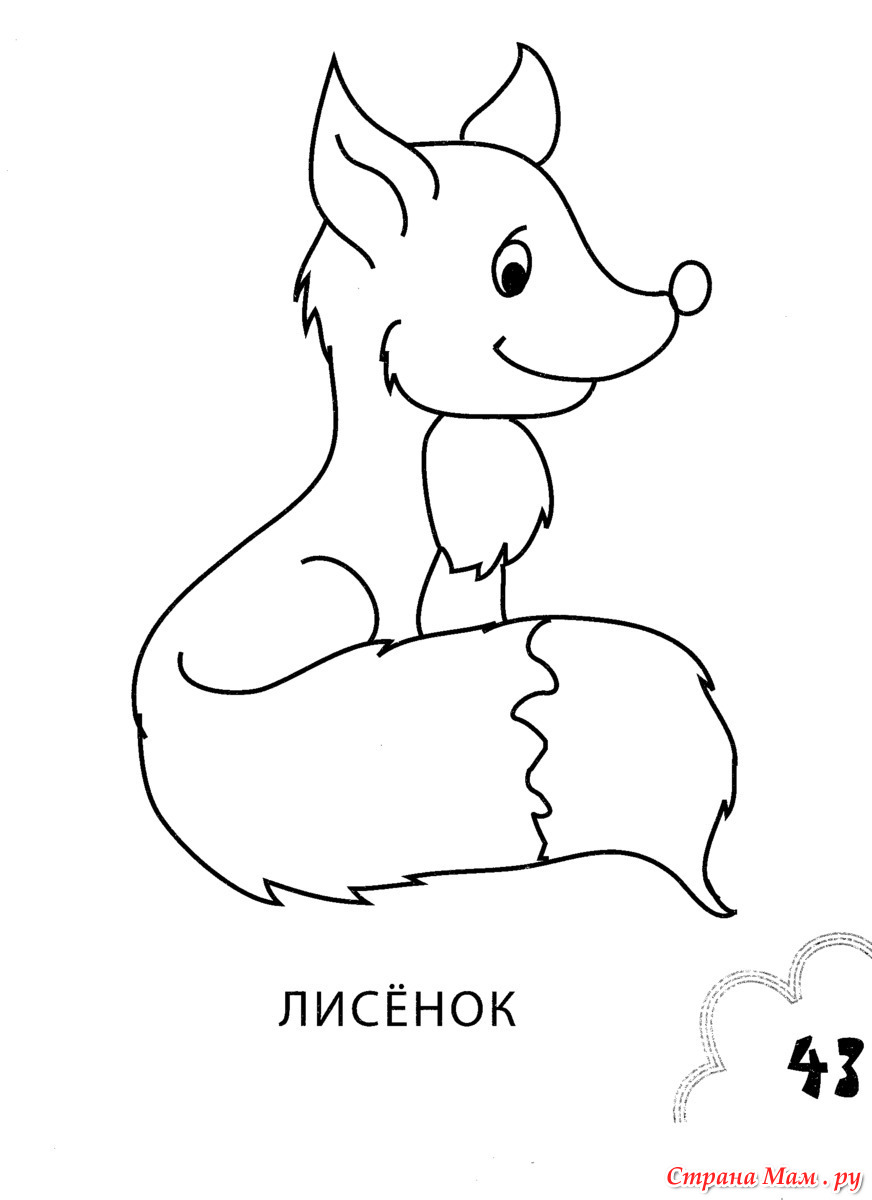 Картинки лисичек раскраски Картинки лисичек раскраски
