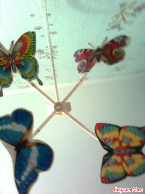 Бабочки прилетели