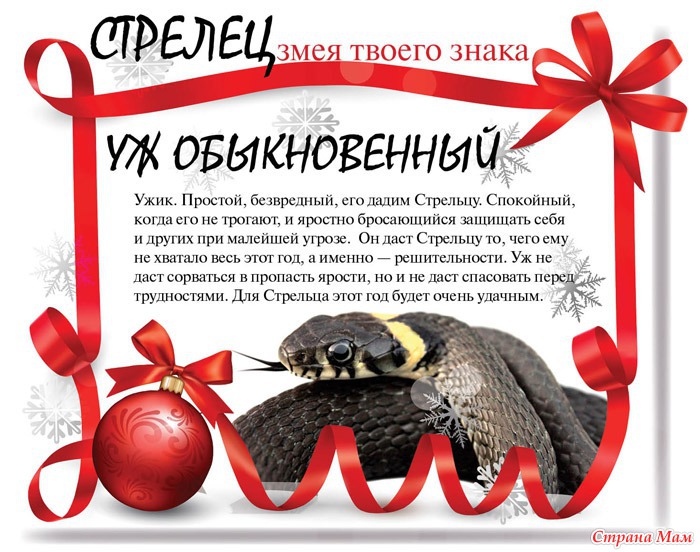 Статусы для стрельца на Статусы для стрельца на