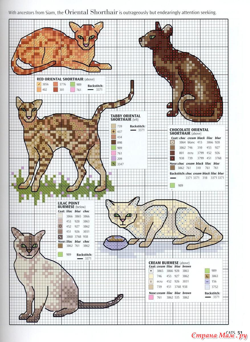 Схема вышивки котов кошек и котят Схема вышивки котов кошек и котят