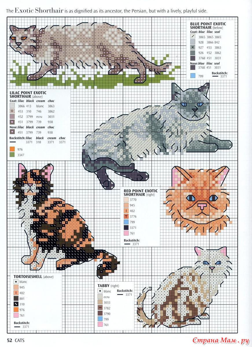Схема вышивки котов кошек и котят Схема вышивки котов кошек и котят