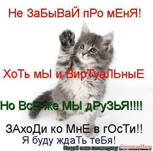 За дружбу! - Страна Мам