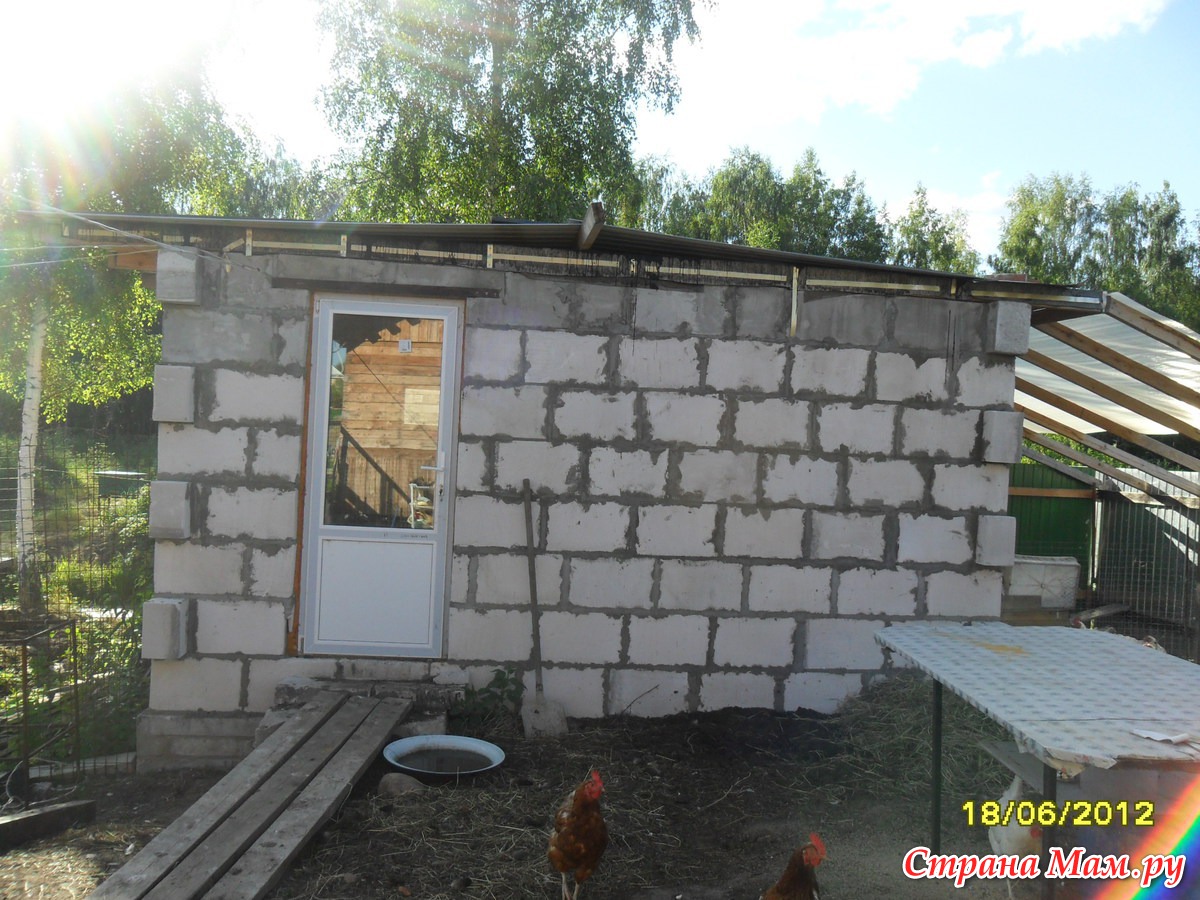 Постройка курятника своими руками из блоков
