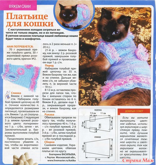 Вязаная одежда для кошек схемы крючком