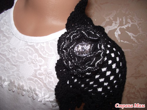 ���� �������� �����