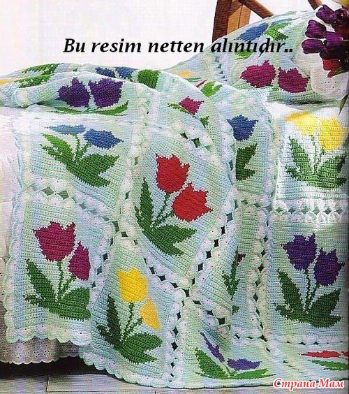 79