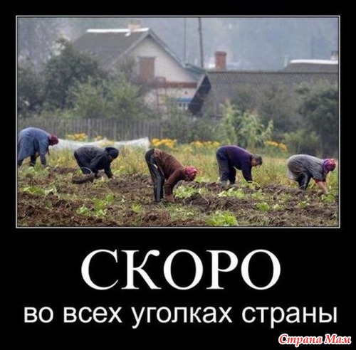 Открытки для приколами Открытки для приколами