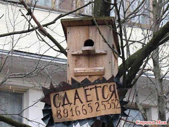 Неиссякаемые рекламные маразмы)))