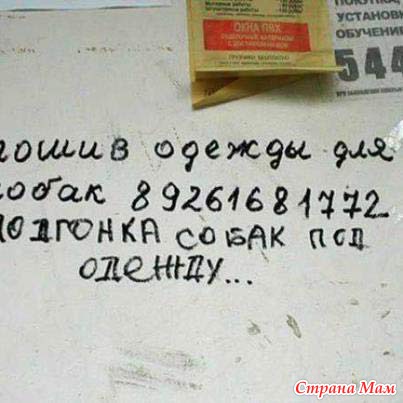 Неиссякаемые рекламные маразмы)))