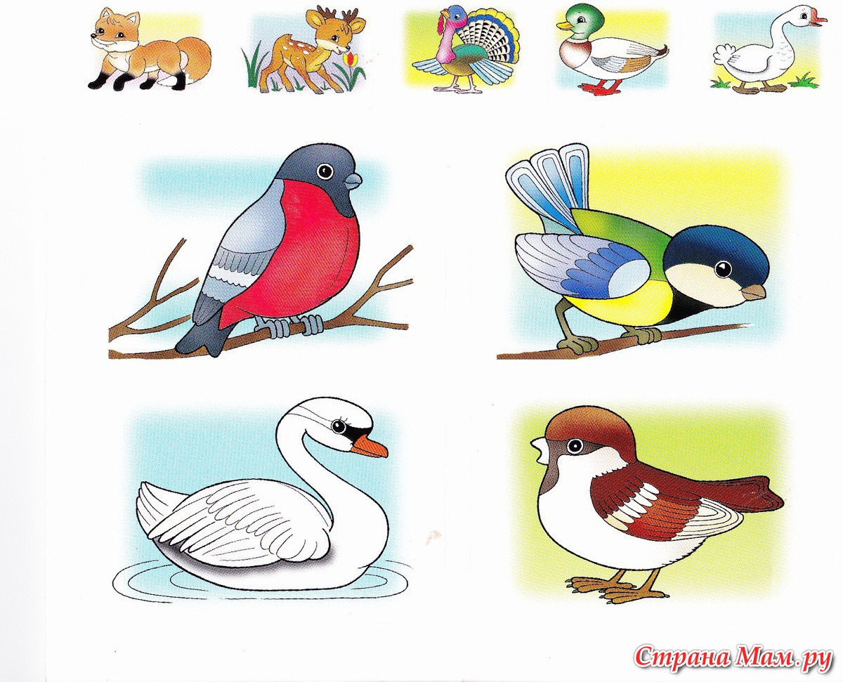 Рисунки детей в детском саду птицы