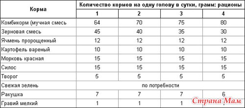 Курицы содержание в домашних условиях кормление 142 Курицы содержание в домашних условиях кормление 66