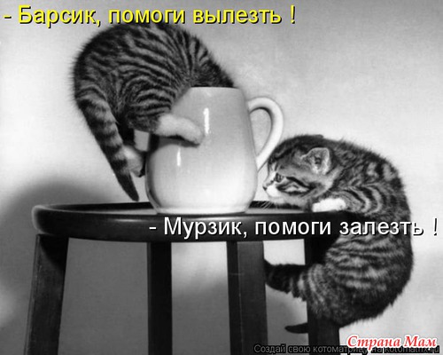 маленькие паразиты у человека маленькие паразиты у человека