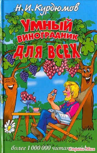 Лиатрис, необычный гость на садовом участке: выращивание в открытом грунте Цветы лиатрис : фото, посадка и уход, выращивание и размножение цветка
