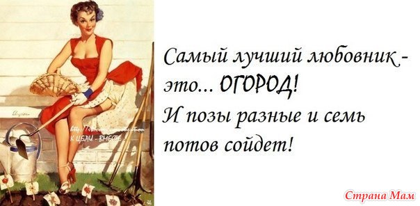 Дипломная работа: Отчет о работе медицинской сестры Головная боль в висках - причины и способы устранения боли