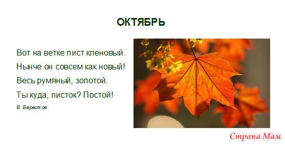 http://st.stranamam.ru/data/cache/2013nov/14/54/10076829_28265nothumb650.jpg
