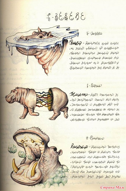 Самая загадочная книга всех времен и народов :) Офигенно!