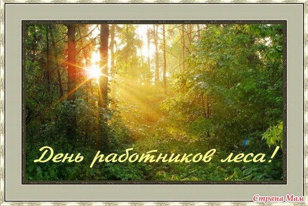 Поздравление главы с днем лесного работника