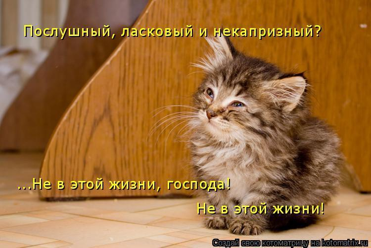 Вы теперь как то сами будете без меня
