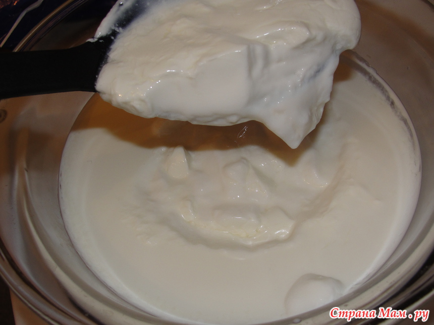 Мацони из молока в домашних условиях рецепт