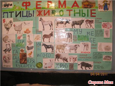 Совместные занятия. ТЕМА ЖИВОТНЫЕ. Неделя первая.