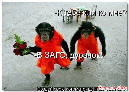 Схемы для вышивки крестом белый пион Схемы для вышивки крестом белый пион