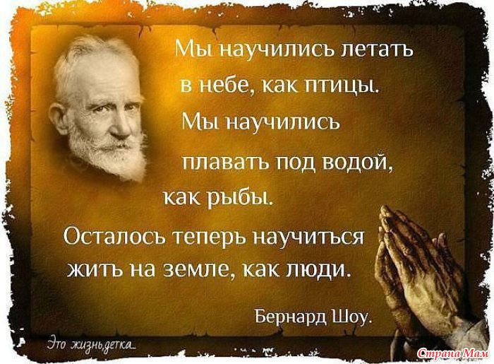 Фразы и афоризмы на год Фразы и афоризмы на год