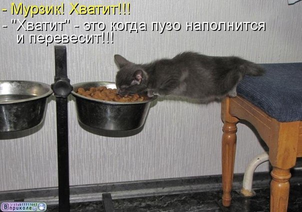 Когда голоден что то с кожей Когда голоден что то с кожей