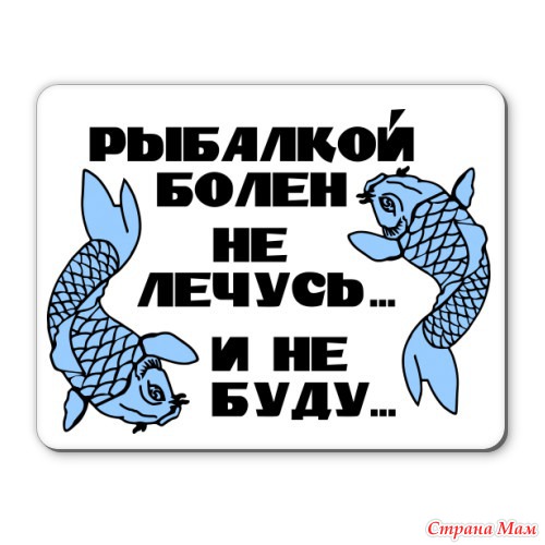 Интернет магазин футболок в Северодвинске