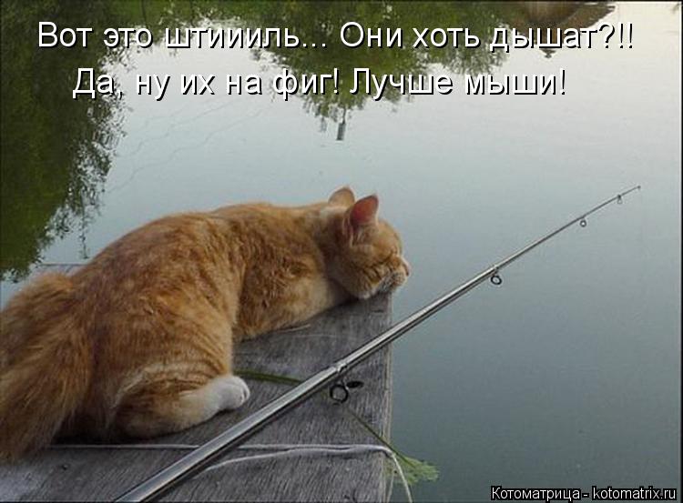 ловит сама ловит сама