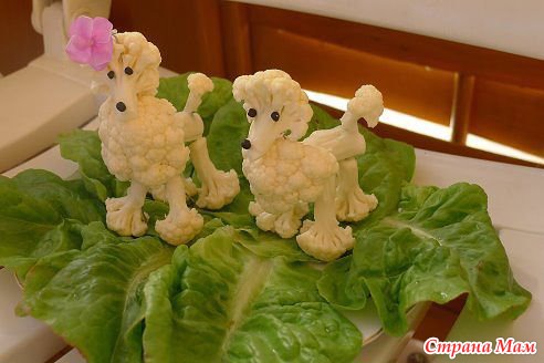 Овечки из цветной капусты поделка