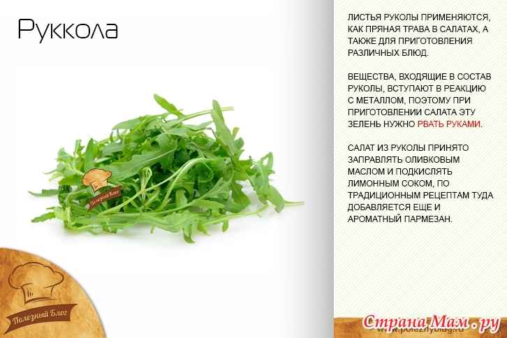 Руккола салат полезные свойства Руккола салат полезные свойства