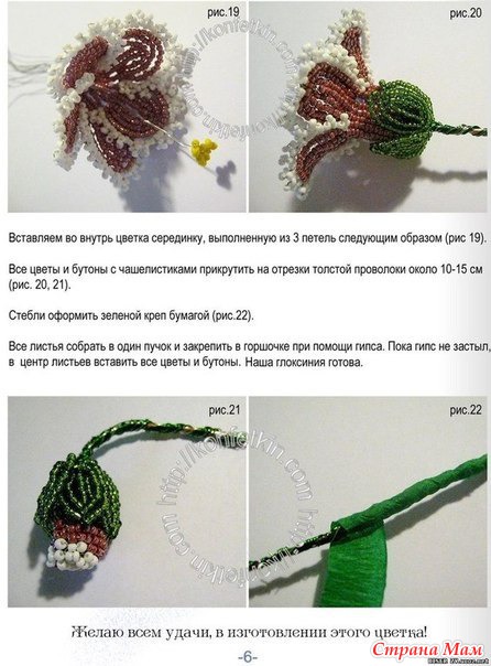Глоксиния из схема плетения Глоксиния из схема плетения