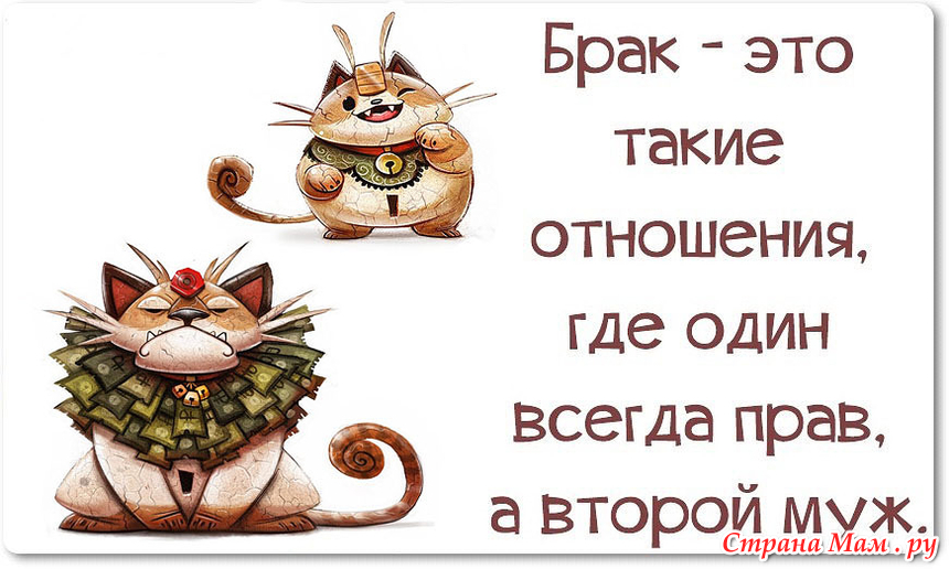 Прикольный афоризм брак Прикольный афоризм брак