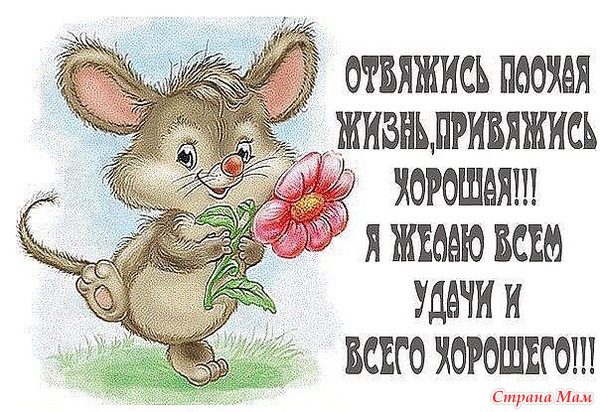 Поздравления с новой работой Пожелания удачи в делах и работе