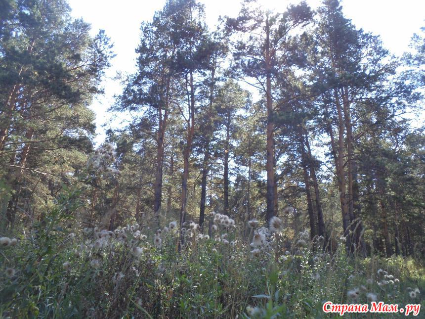 Погода в г оби на 14 дней