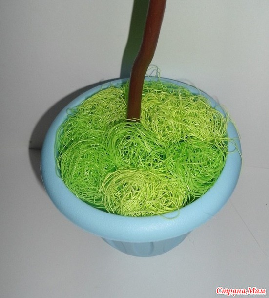 �������� + ������ �����