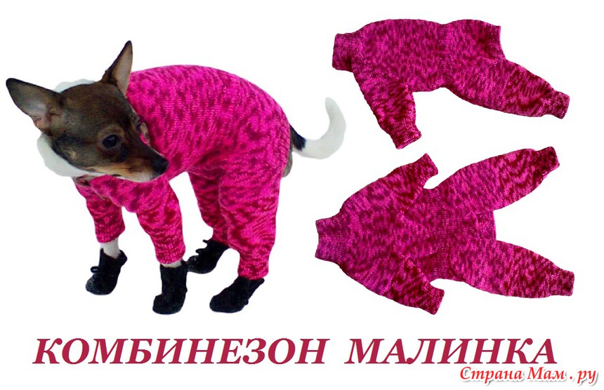 Мастер класс комбинезон для той терьера Мастер класс комбинезон для той терьера