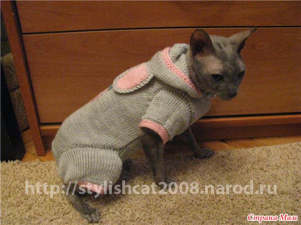 Кошка сфинкс связать Кошка сфинкс связать