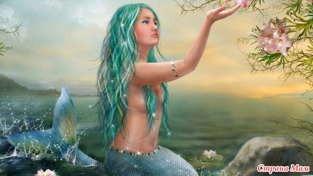 * ���������