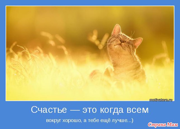 15490705_53707nothumb650.jpg