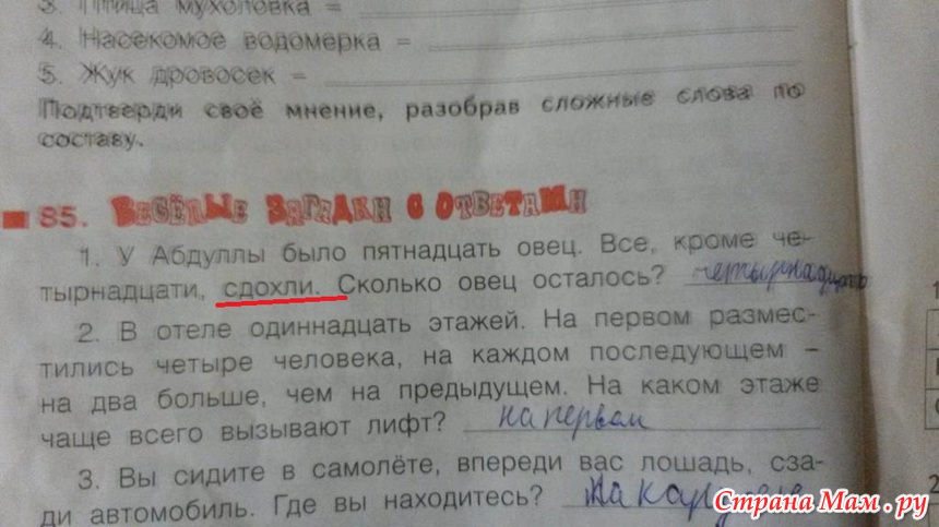 Что нужно делать когда видишь зеленых человечков