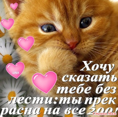 Открытки как ты прекрасно выглядишь Открытки как ты прекрасно выглядишь