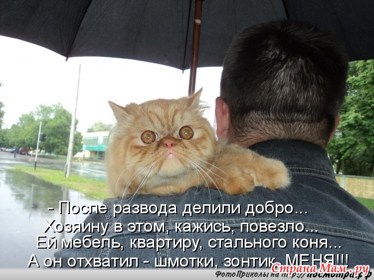Одежда, которая старит и молодит: примеры ФОТО Одежда для мальчиков Next Украина