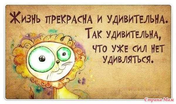 Комплименты про губы для девушки Коллекция праздничных идей Снова Праздник - все лучшее для