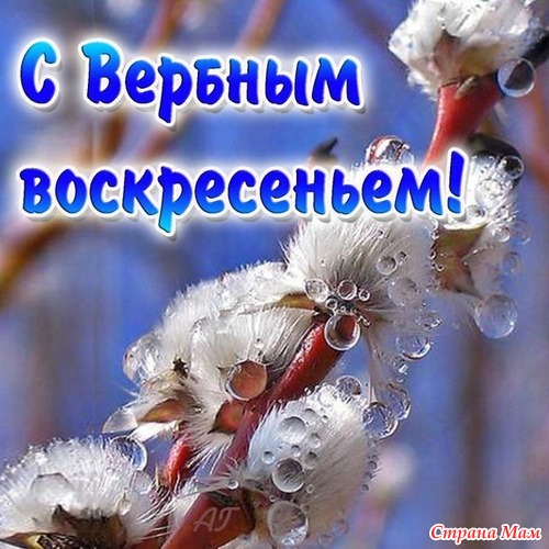 Фото поздравления вербным воскресеньем