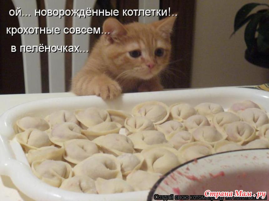 Курицы сощами на пару в мультиварке Курицы сощами на пару в мультиварке