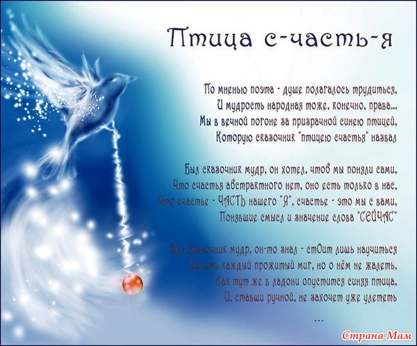 Стихи на конкурс синия птица Стихи на конкурс синия птица