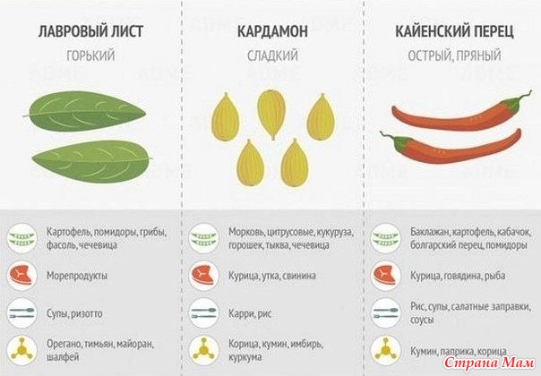 Используем специи по назначению