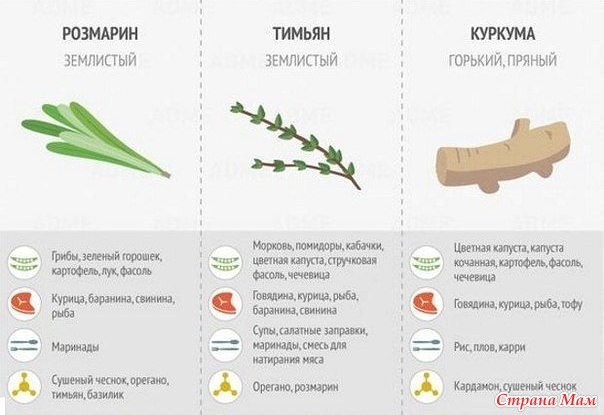 Используем специи по назначению